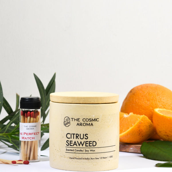 Concrete Citrus Seaweed Candle The Cosmic Aroma