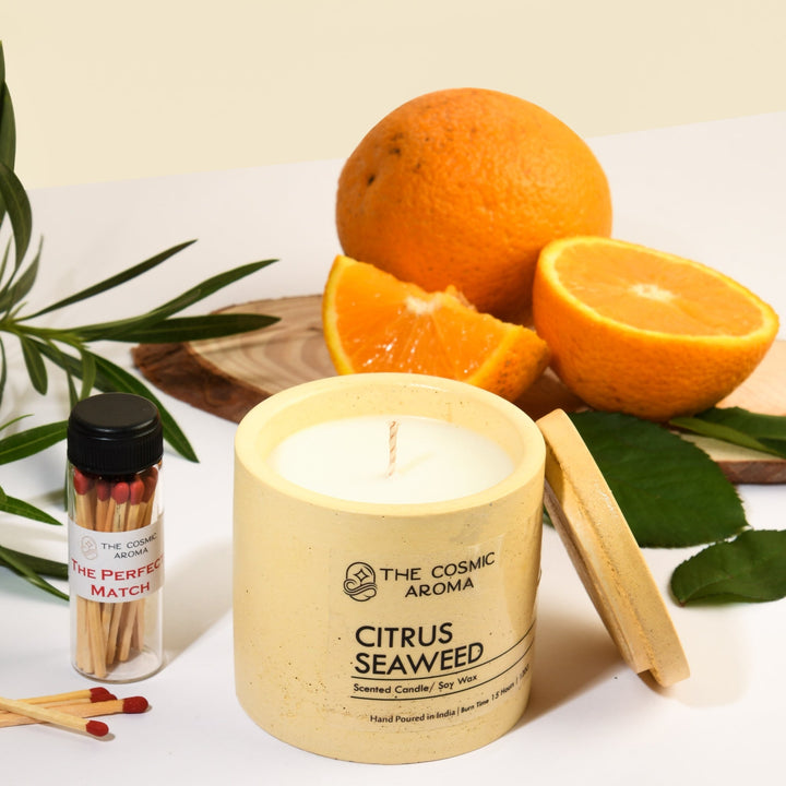 Concrete Citrus Seaweed Candle The Cosmic Aroma