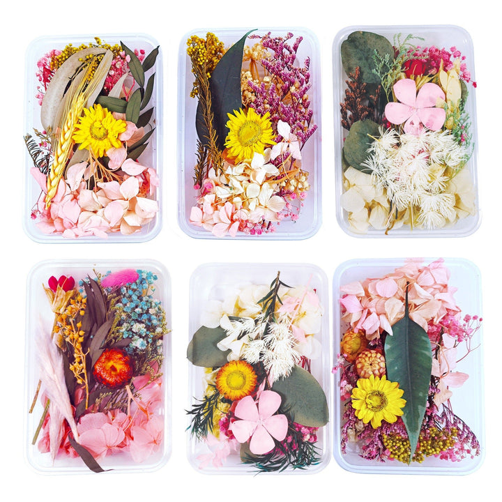 Dried Flowers for Decoration - Mixed The Cosmic Aroma
